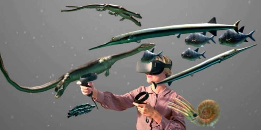 The best museums for Monte San Giorgio fossils